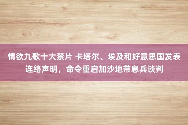 情欲九歌十大禁片 卡塔尔、埃及和好意思国发表连络声明,命令重启加沙地带息兵谈判