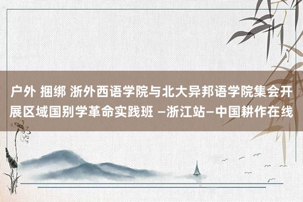 户外 捆绑 浙外西语学院与北大异邦语学院集会开展区域国别学革命实践班 —浙江站—中国耕作在线