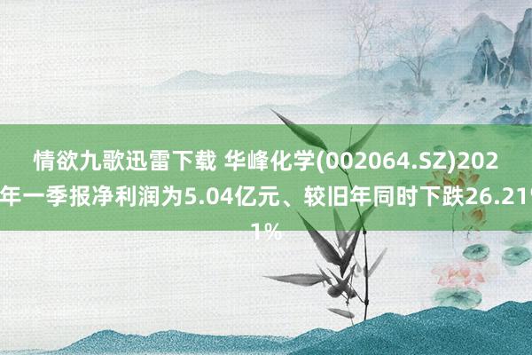 情欲九歌迅雷下载 华峰化学(002064.SZ)2025年一季报净利润为5.04亿元、较旧年同时下跌26.21%