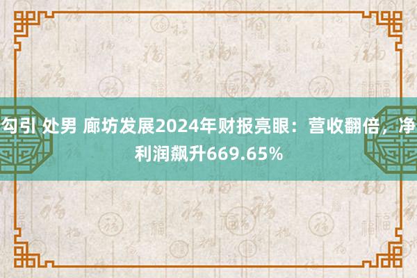 勾引 处男 廊坊发展2024年财报亮眼：营收翻倍，净利润飙升669.65%