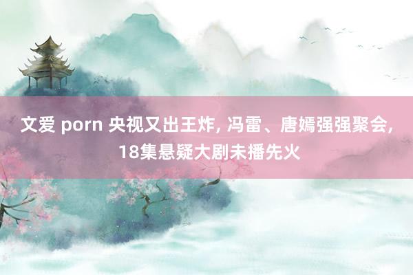 文爱 porn 央视又出王炸， 冯雷、唐嫣强强聚会， 18集悬疑大剧未播先火