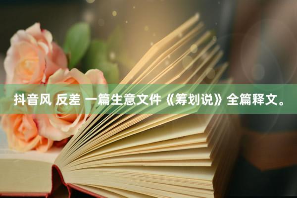 抖音风 反差 一篇生意文件《筹划说》全篇释文。