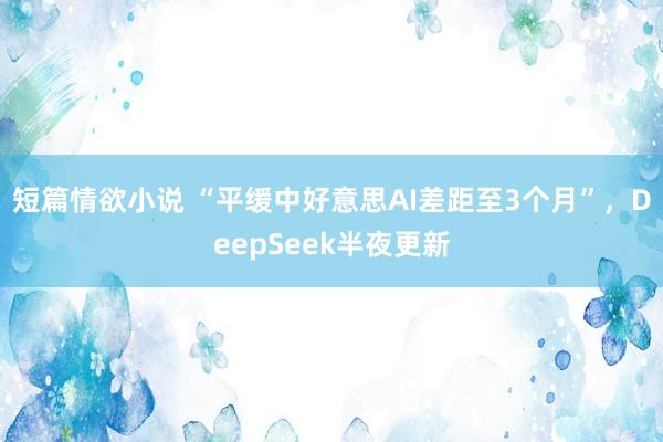 短篇情欲小说 “平缓中好意思AI差距至3个月”，DeepSeek半夜更新